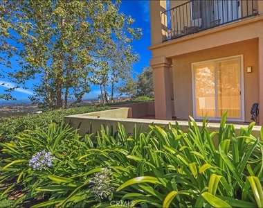 80 Verdin - Photo Thumbnail 30