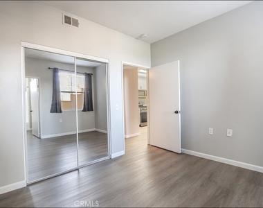 80 Verdin - Photo Thumbnail 22