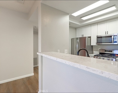 80 Verdin - Photo Thumbnail 10