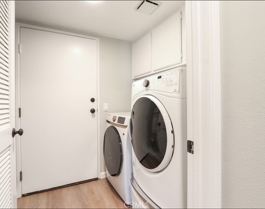 80 Verdin - Photo Thumbnail 25