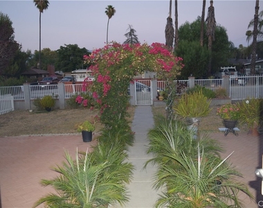 317 Terry Lane - Photo Thumbnail 4