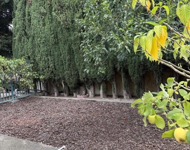 3885 Aragon Lane - Photo Thumbnail 14