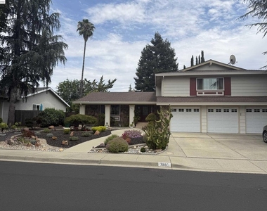 3885 Aragon Lane - Photo Thumbnail 1