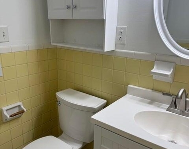 7 Elgin Street - Photo Thumbnail 28