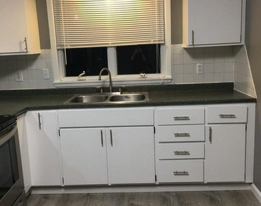 7 Elgin Street - Photo Thumbnail 15