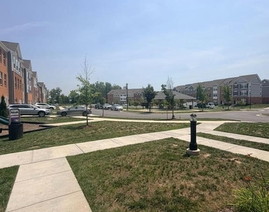 6504 Bullrush Court - Photo Thumbnail 31