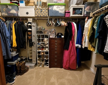 1403 Brashear Ct - Photo Thumbnail 14
