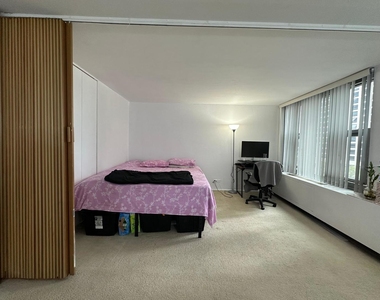 400 E Randolph Street - Photo Thumbnail 12