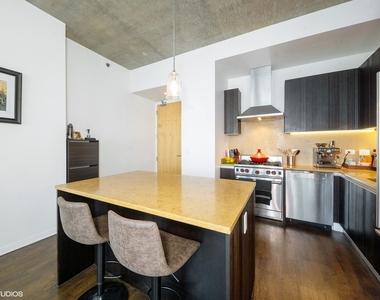 600 N Fairbanks Court - Photo Thumbnail 2