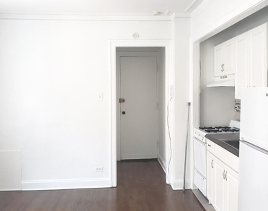 1064 W Thorndale Avenue - Photo Thumbnail 4