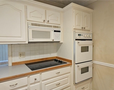 395 Monivea Lane - Photo Thumbnail 12