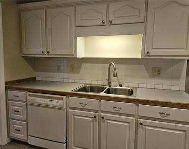 395 Monivea Lane - Photo Thumbnail 11