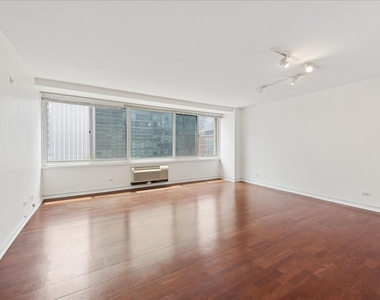 211 E Ohio Street - Photo Thumbnail 4