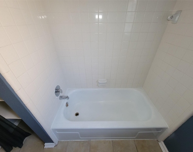 409 S Travis - Photo Thumbnail 29