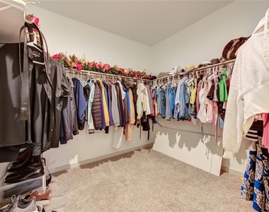 3306 Black Gore Creek Drive - Photo Thumbnail 31