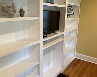 176 Forest Street - Photo Thumbnail 3