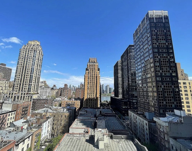 333 East 49th Street - Photo Thumbnail 6