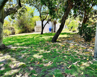 2425 Pierce Street - Photo Thumbnail 13