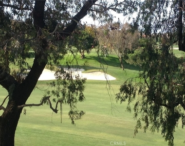 32 Dauphin - Photo Thumbnail 10