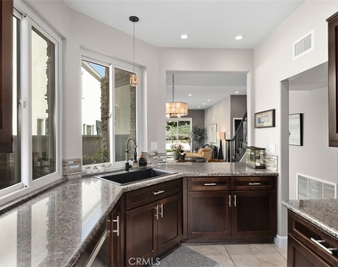 12 Dauphin - Photo Thumbnail 19