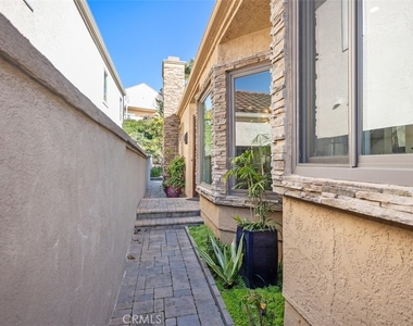 12 Dauphin - Photo Thumbnail 3