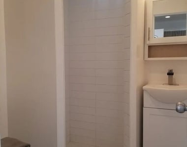 335 E 65th Street - Photo Thumbnail 6