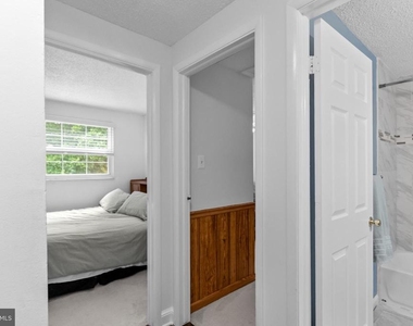 8113 Loving Forest Court - Photo Thumbnail 26