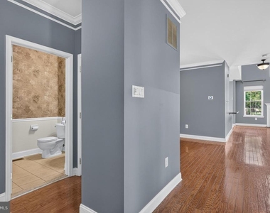 20 Carter Lane - Photo Thumbnail 12
