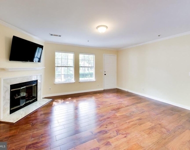 10823 Hampton Mill Terrace - Photo Thumbnail 6