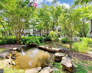 10823 Hampton Mill Terrace - Photo Thumbnail 25