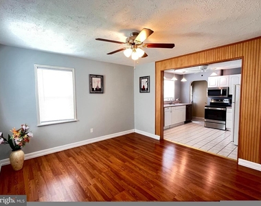 16 Evans Avenue - Photo Thumbnail 4