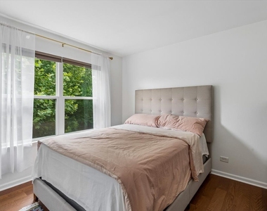 2419 Birch Street - Photo Thumbnail 10