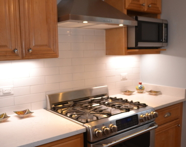 1055 W North Shore Avenue - Photo Thumbnail 29