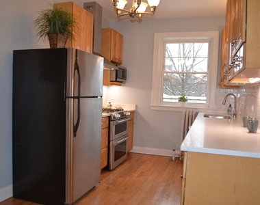 1055 W North Shore Avenue - Photo Thumbnail 17
