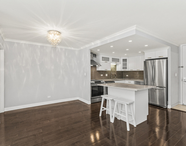 110 E Delaware Place - Photo Thumbnail 5