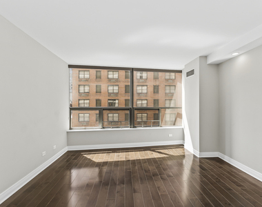 110 E Delaware Place - Photo Thumbnail 10
