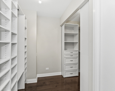 110 E Delaware Place - Photo Thumbnail 11