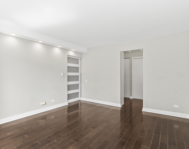 110 E Delaware Place - Photo Thumbnail 8