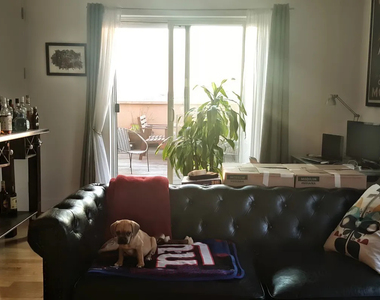 24 Cook Street - Photo Thumbnail 4