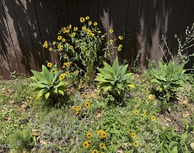 1523 N Grand Oaks Avenue - Photo Thumbnail 18