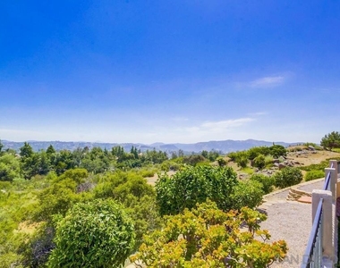 2703 Lobelia - Photo Thumbnail 61