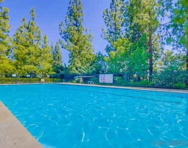 2703 Lobelia - Photo Thumbnail 68