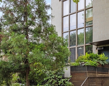 44 Sharon Street - Photo Thumbnail 26