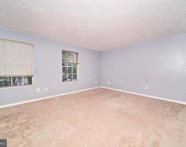 9250 Niki Place - Photo Thumbnail 19