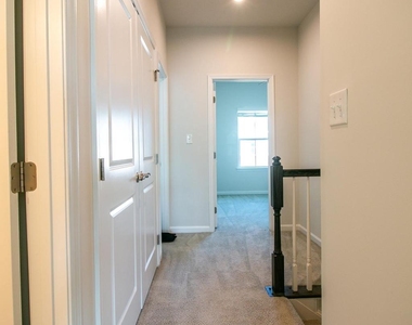 308 Blue Welsh Street - Photo Thumbnail 19