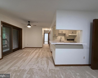 44790 Locust Ridge Court - Photo Thumbnail 4