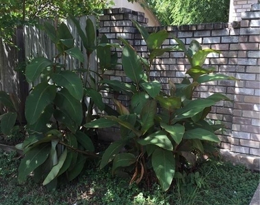 1801 Mearns Meadow Blvd - Photo Thumbnail 4