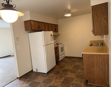 1161 S Buchanan Street - Photo Thumbnail 1