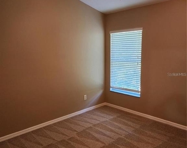 15924 Fishhawk Creek Lane - Photo Thumbnail 23