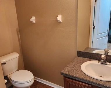 15924 Fishhawk Creek Lane - Photo Thumbnail 7